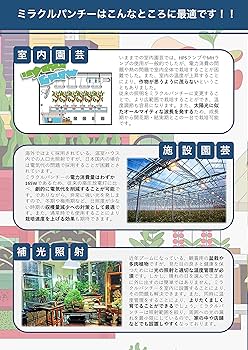 日本上陸！インドア植物栽培LED 「ミラクルパンチー」消費電力コスパ最高1/2 楽天市場】植物育成ledライト ミラクルパンチー 植物栽培用 高
